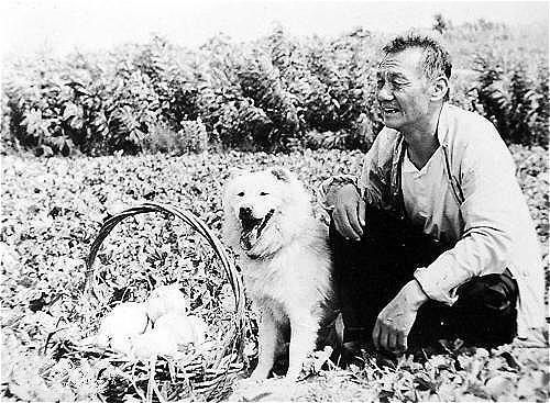 94岁田成仁老艺术家逝世这个世界再无茂源老汉