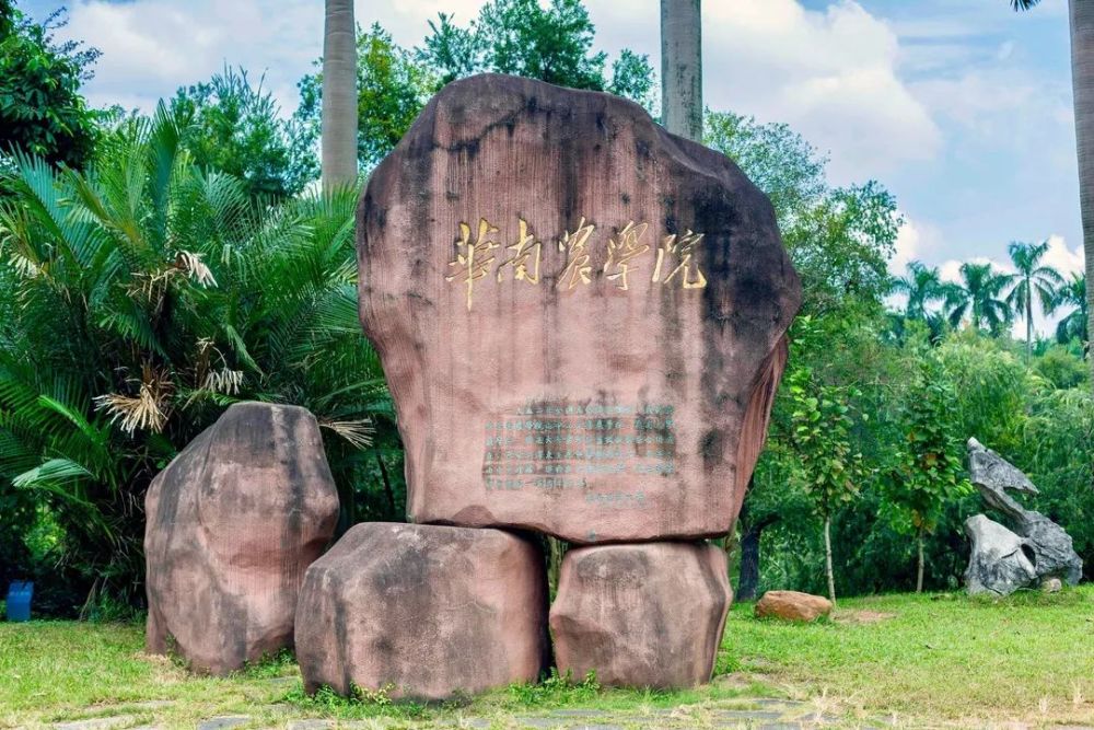 1952年,由中山大学农学院,岭南大学农学院和广西大学农学院畜牧兽医系