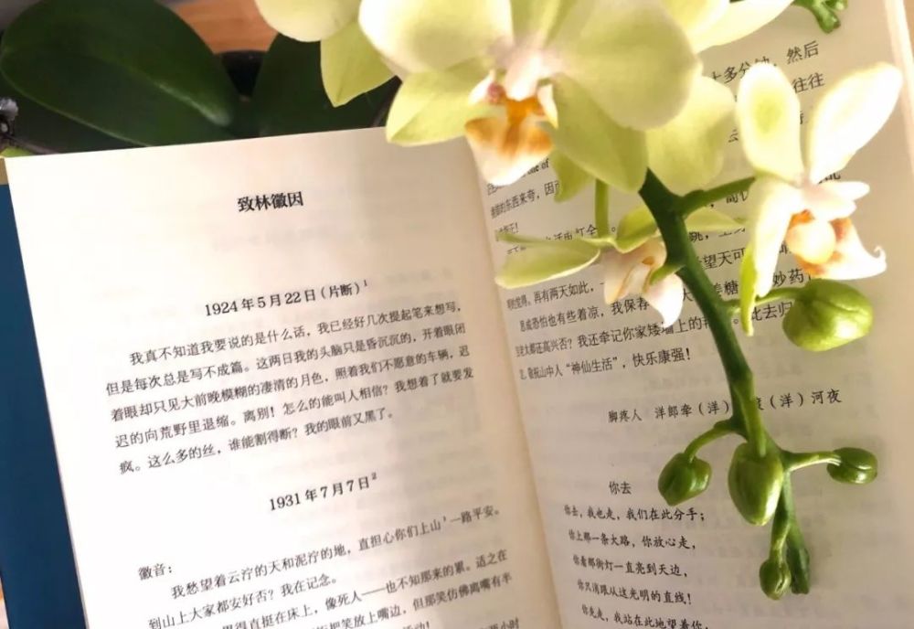 我们为什么爱读徐志摩 腾讯新闻