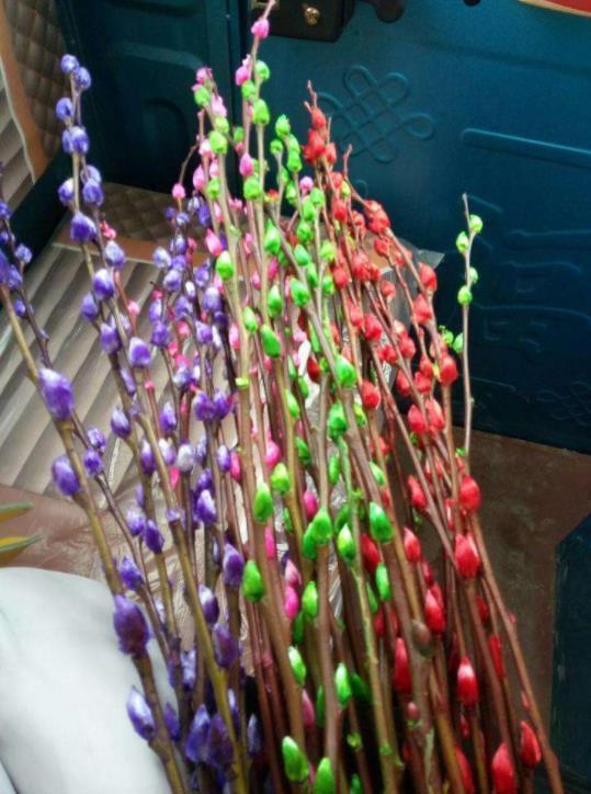 鲜花养不活 就养几株 干花 放的时间久不褪色 性价比高 腾讯新闻