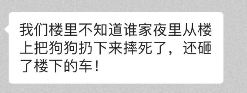 上海宠物航空箱