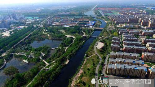 "缕缕清香溢满锅,精华凝聚卷金箔.喜品珍奇植物肉,豆花绽放麦丘坡.