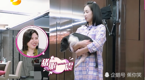 宋茜经纪人说话很谨慎,无意中却冒犯了别人,李维嘉实力暗讽_腾讯新闻