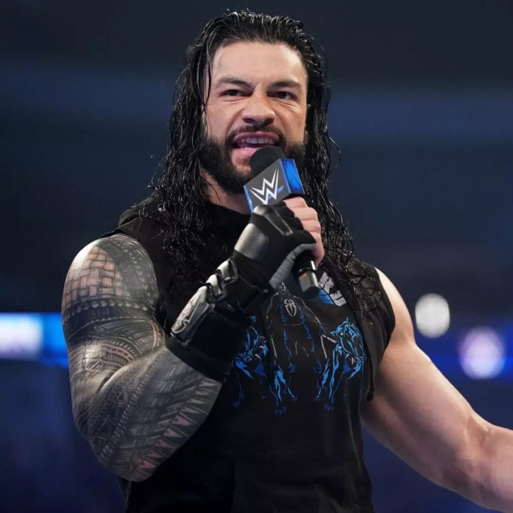 wwe狗粮之战超人飞拳漫天飞舞