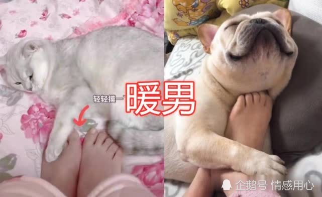 "暖脚丫"也有段位?渣男vs直男,看到男友:又想跪键盘了?