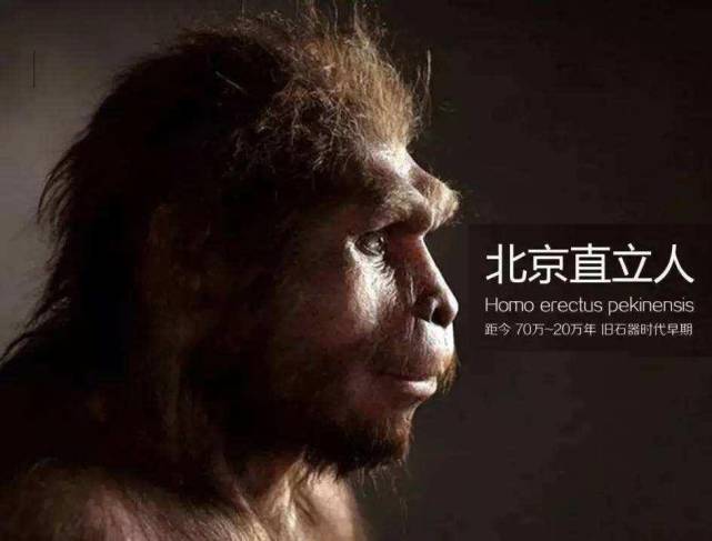 而古时候生活在中华大地上的"北京人","蓝田人","元谋人",实际上都是