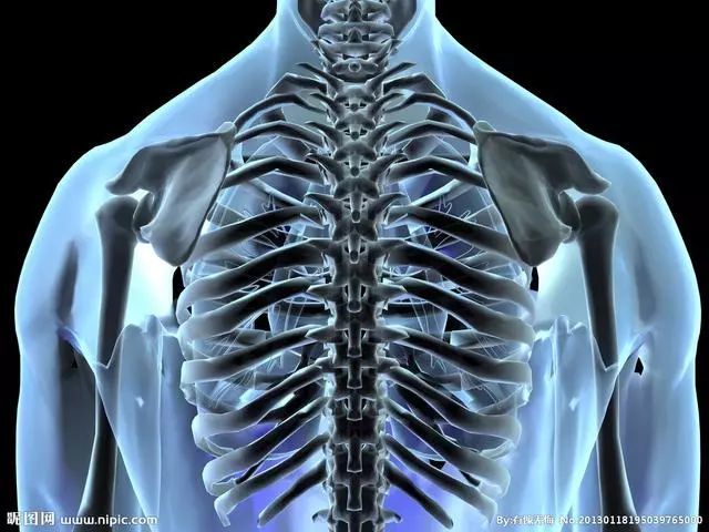 身体核心在哪?如何提高运动表现?