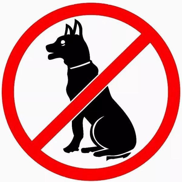 防控疫情期间禁止户外遛狗