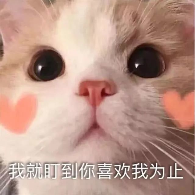 硬糖少女303|林君怡唯一关注的硬糖少女303成员是她，没想到她人缘这样好