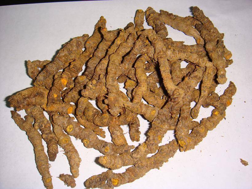 这种植物浑身是刺惹人厌,殊不知晒干后价值珍贵,市场一公斤50元