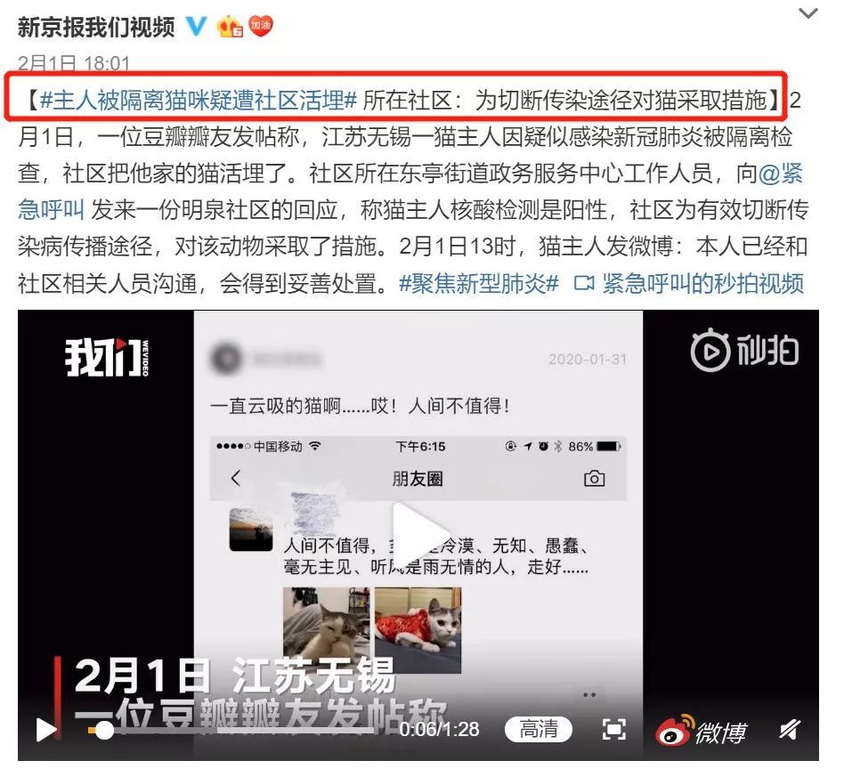 上海宠物航空箱