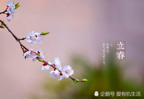 立春吃什么传统食物 四种立春传统食物迎接春暖花开 腾讯新闻