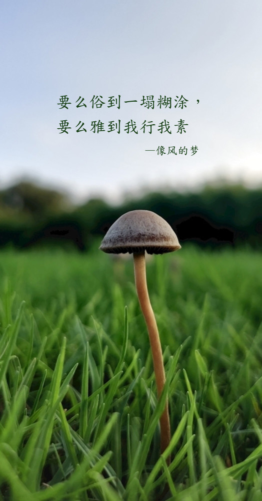 只有暗藏理想的謙卑,才叫低調,否則便是窩囊