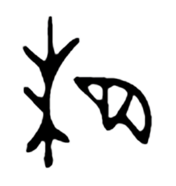 "相"的甲骨文是"一只眼睛正注视着一棵大树".