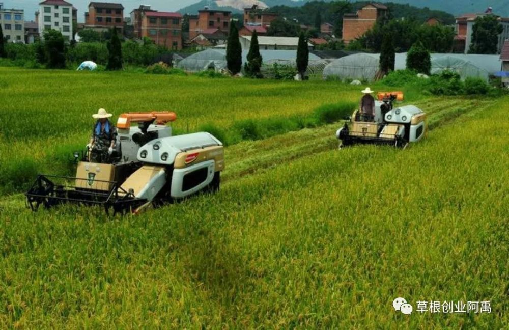 适合农村的穷人创业项目不起眼的冷门偏门小生意却很暴利