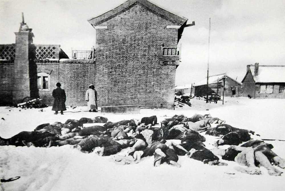 半个世纪就波及全球的鼠疫致死率高达60令人避之不及