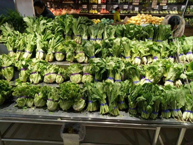 春天到了 去田里挖一筐野菜蒸着吃 何必吃蝙蝠 难道野菜不香吗 腾讯新闻