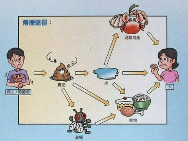 大连|疾控中心|甲肝病毒|甲肝疫苗|甲肝