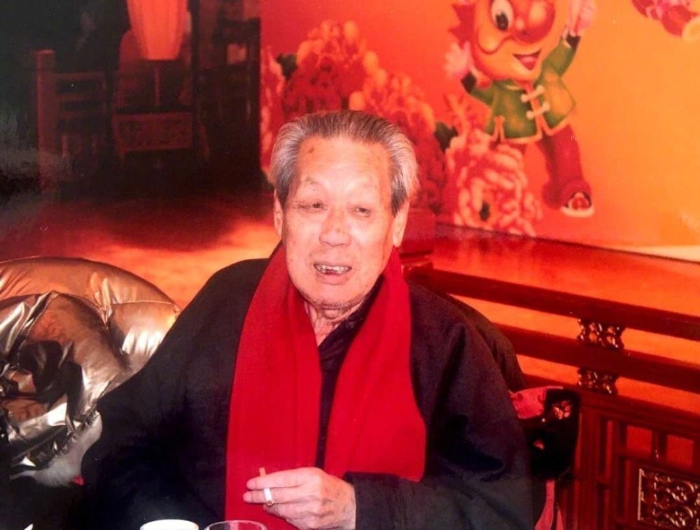 2020年怎么了？仅一个月13位艺人相继离世，赵忠祥田成仁成追忆（组图） - 6