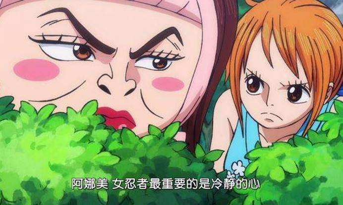 海贼王:年轻时候的小忍有多漂亮?嘴巴咬着手里剑迷倒万千漫迷!