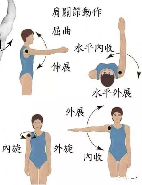 能力越大责任也就越大,所以手臂的上举,前伸,外旋,内旋,外展,平展和内
