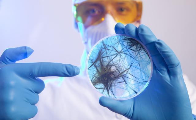 美重启h5n1病毒实验,或对人类造成巨大威胁,《科学》猛烈批评