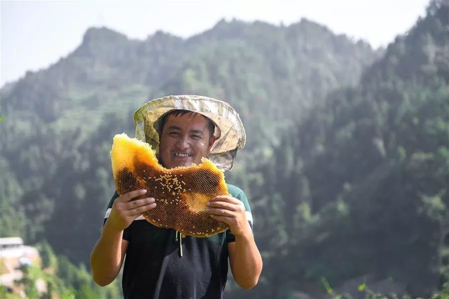 十八洞村蜂蜜图片