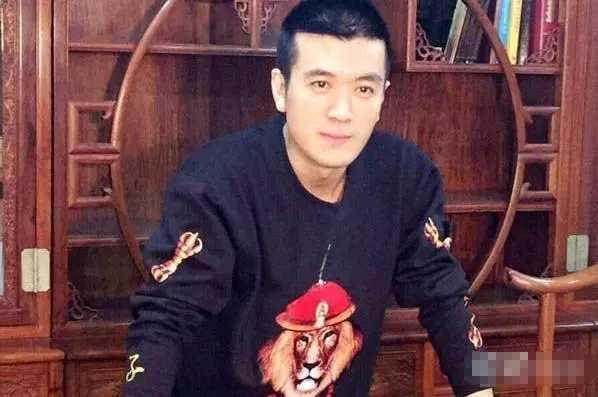 杨子家究竟是做什么产业的巨力集团是个什么样的企业