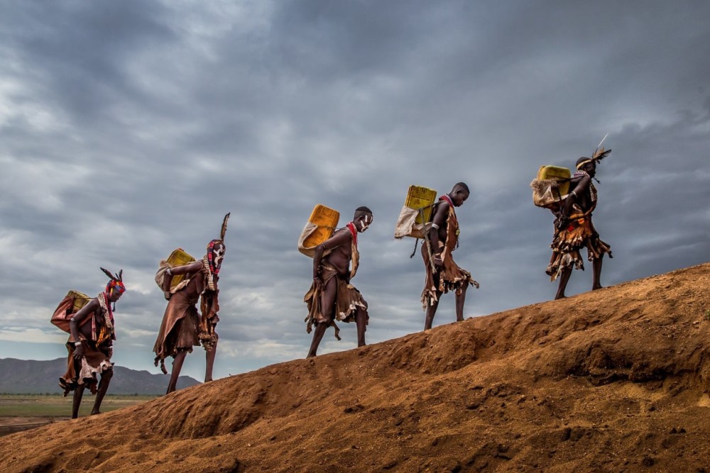 人类牲畜和病毒盘点那些带来瘟疫的动物可不只是蝙蝠