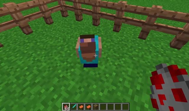 我的世界:mc中存在圆吗?这六张诡异图片,你认为是特性还是模组