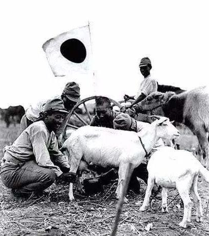 真实的鬼子进村是什么样看完照片才知道神剧里都是骗人的