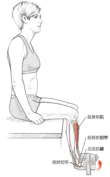 一跑步就脚底痛 足底筋膜炎的预防与康复 腾讯新闻