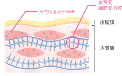 皮肤变干燥的原因有哪些 腾讯新闻