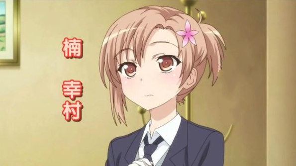 《笨蛋测试召唤兽》木下秀吉,非男非女的存在,创造出秀吉这一性别,fff