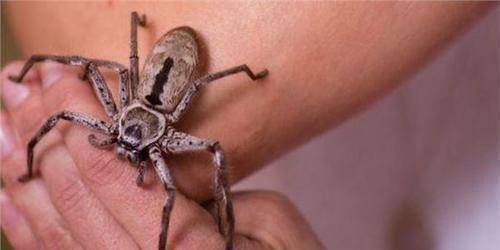 腾讯内容开放平台