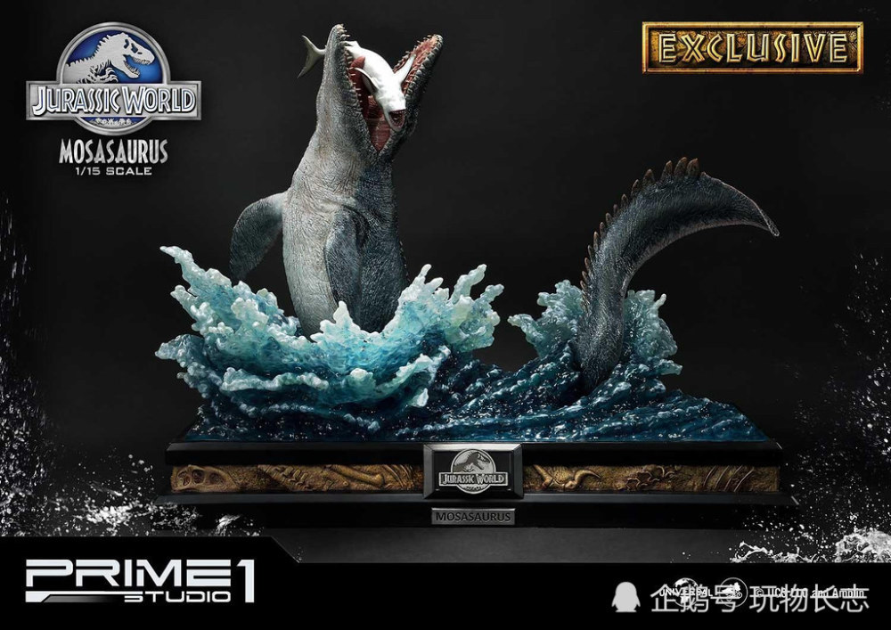 バーゲンで Megaceras PA 標本 WD jason - 虫類用品 - ipzw.de
