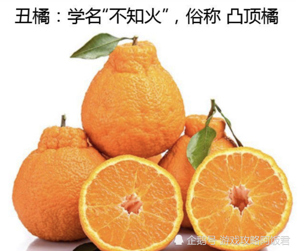 阴阳师 Ssr不知火和不知火舞 傻傻分不清楚 小心可别闹了笑话 腾讯新闻