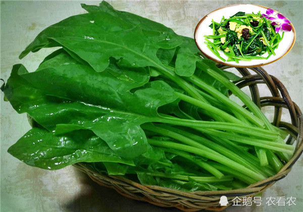 原产于伊朗如今却成我国创汇主力人称飞龙菜是火锅的绝配