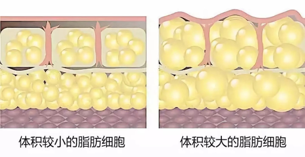 2020年世界攻克乙肝:taf转阴率,韦立得医保