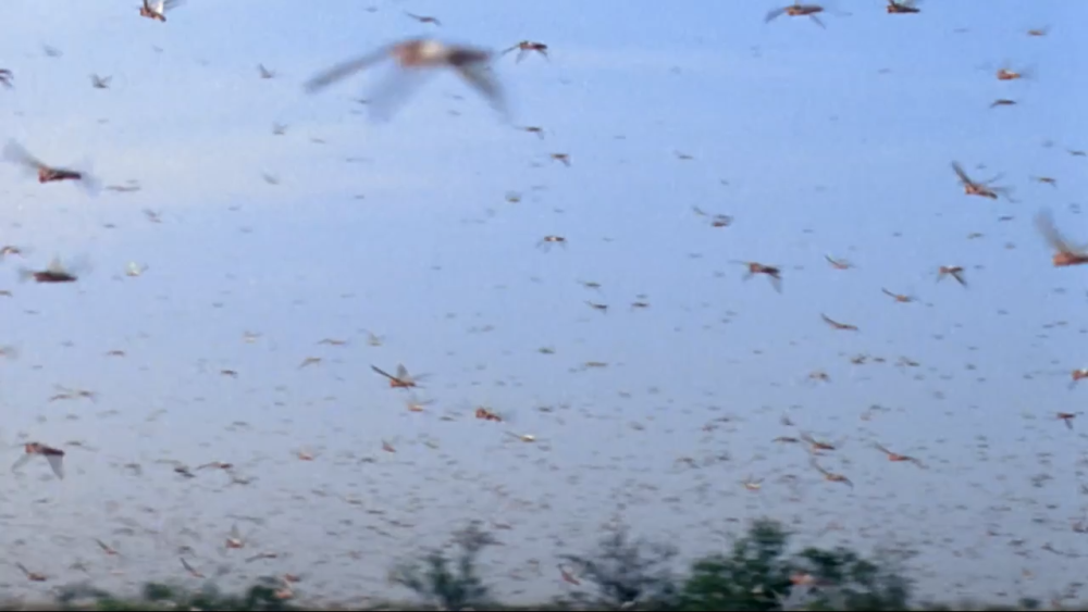 2020全球灾难排名_2020年全球地震活动盘点(2)