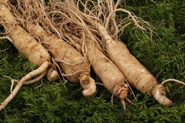 华夏仙草三两重人参