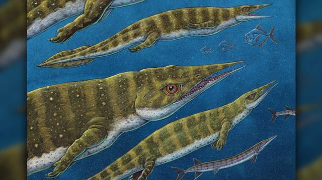 可怕的三叠纪"海龙"是一种长着镊子嘴的怪物