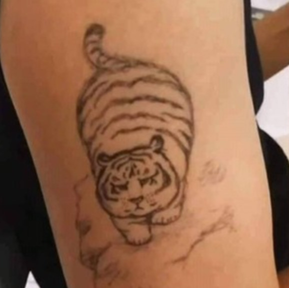 猛虎刺青图惊见爱猫 身材表情都一模一样 好萌
