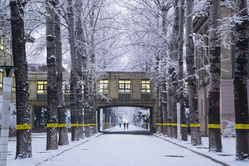 雪景裝飾青春的夢大學校園唯美雪景哪裡的景色讓你心動