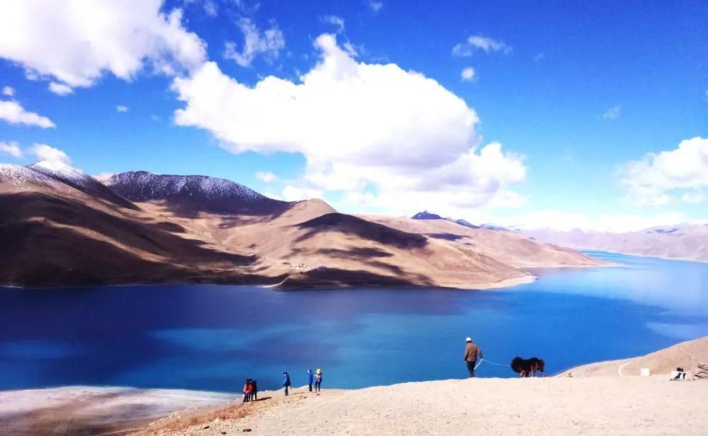 亮出你的舌苔或者空空荡荡_腾讯新闻