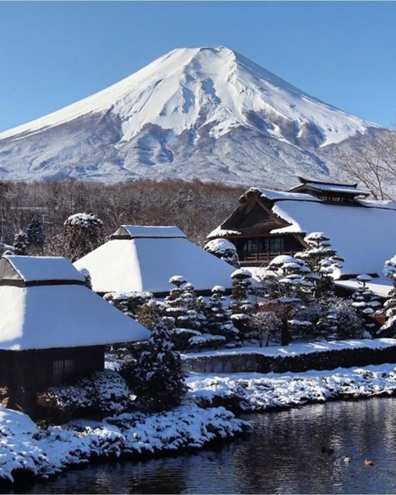 富士山下的白雪世界 纯净如童话 腾讯新闻