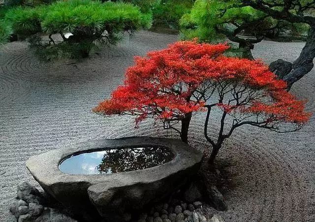 禪意庭院&佛系庭院--豪宅自建房別墅農村鄉村庭院子私家花園景觀綠化