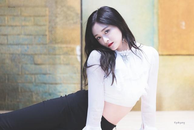 八方美人什么意思为什么韩国日本有中国却没有