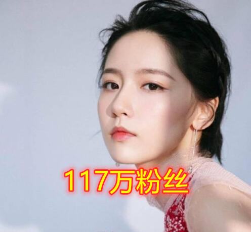爱情公寓排行_《爱情公寓》美女排行榜中,看看谁是第一名(2)