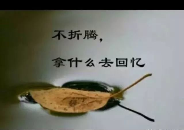 活着就是折腾